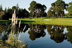 Joburg Gems Golf Members Sparkle